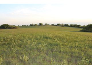 Property photo 29 - LAND AUCTION - 746+/- ACRES OFFERED IN 13 TRACTS BETWEEN NEWCASTLE AND BLANCHARD, OKLAHOMA